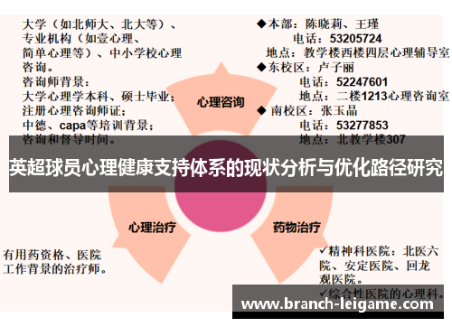 英超球员心理健康支持体系的现状分析与优化路径研究
