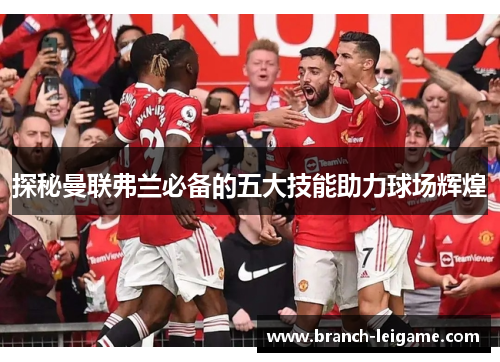 探秘曼联弗兰必备的五大技能助力球场辉煌