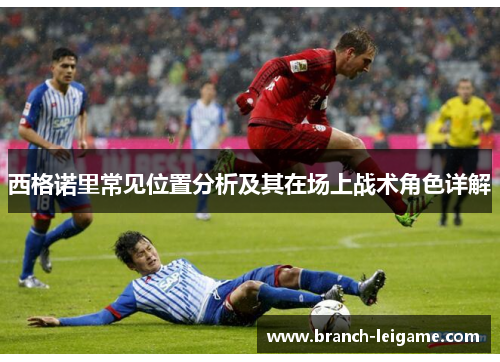 西格诺里常见位置分析及其在场上战术角色详解